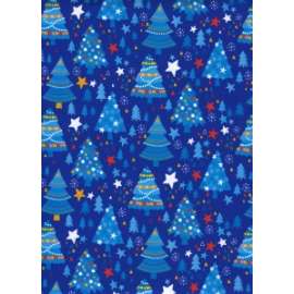 Carta Regalo Natale 70x100 FANTASIA conf.10fg