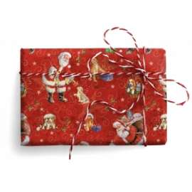 Carta Regalo Natale 70x100cm BABBO NATALE conf.10fg