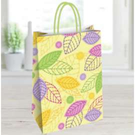 Shopper Carta 26x35x12 EVA conf.10pz