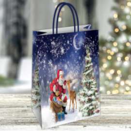 Shopper Natale NICO 23x29x10 conf.10pz