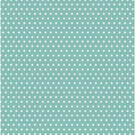 Carta Regalo 70x100cm POIS 32 conf.10fg  