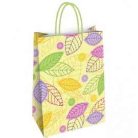 Shopper Carta 23x29x10 EVA conf.10pz