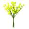 MAZZETTO 12 MIMOSE 150mm