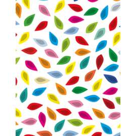 Carta Regalo 70x100cm FANTASIA 35 conf.10fg  