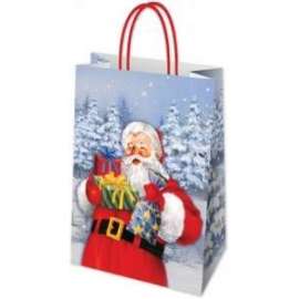 Shopper Natale LEO 23x29x10 conf.10pz