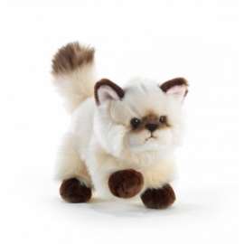 Peluche GATTO THAYTOO 21cm