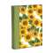 Album Foto CARTONCINO GIRASOLI  23x30 30fg