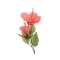 FIORI HIBISCUS ROSA 71cm