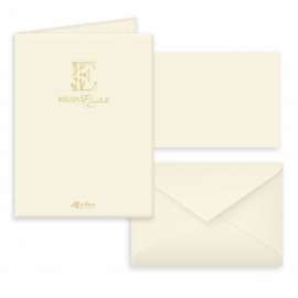 Biglietti Regalo f.to9 9x14cm REGINA TASCHETTA 10/10 uso mano conf.5pz 100/240gr.