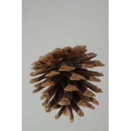 Addobbo Albero PIGNA APPENDIBILE 4cm