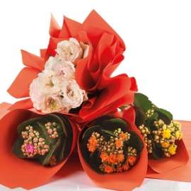 BOBINA PPL 1x40mt MAT PEARLY COL.BIANCO