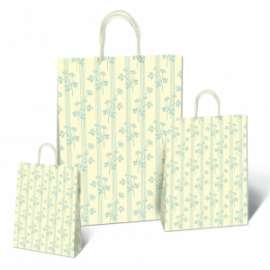Shopper Carta 30x41x12 FIORELLINI conf.10pz 