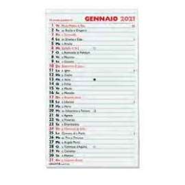 Calendario 2025 OLANDESE 12x28 Mini 