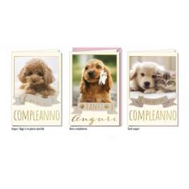 Biglietti Compleanno FANTASIE CUCCIOLI conf.12pz