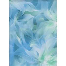 Carta Regalo 70x100 FANTASIA  FIORI AZZURRA conf.10fg