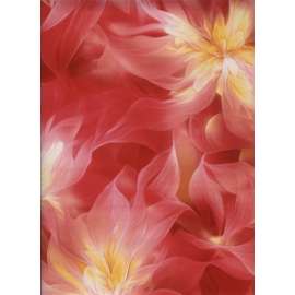 Carta Regalo 70x100 FANTASIA FIORI ROSA conf.10fg