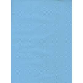 Carta Regalo 70x100 FANTASIA AZZURRA CON PUNTINI ORO conf.10fg