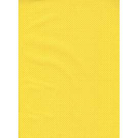 Carta Regalo 70x100 FANTASIA GIALLA CON PUNTINI ORO conf.10fg