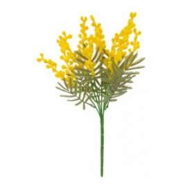 RAMO MIMOSA  STELO 36cm