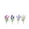 MAZZETTO LAVANDA 34cm