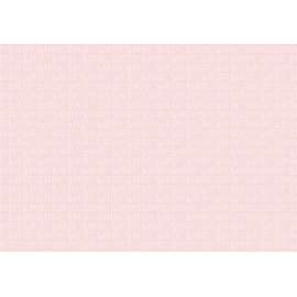 Carta Regalo 70x100cm POIS ROSA 71 conf.10fg  