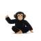 Peluche SCIMPANZE SOLIKE