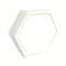 SCATOLINA ESAGONALE BIANCA C/COPERCHIO 6 scomparti  cm 12x12x4