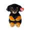 Peluche BEANIE BABIES  - RANDI  20cm