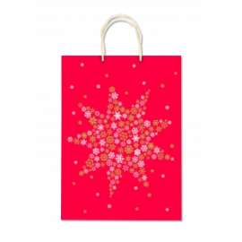 Shopper Carta Natale 20x25x10 FANTASIA conf.10pz