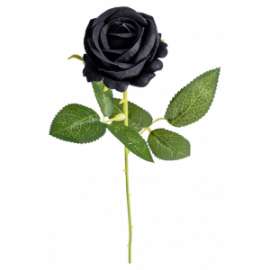 Halloween ROSA NERA h.50cm