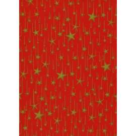 Carta Regalo Natale 70x100 FANTASIA ROSSA C/STELLE ORO 448J conf.10fg