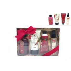 CONFEZIONE REGALO LINEA CORPO 4pz .44632